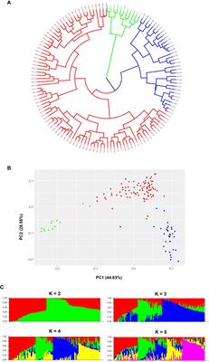 Genome-wide association study for resistance to Pseudomonas syringae pv. garcae in Coffea arabica